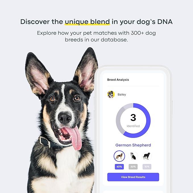Dog DNA Test