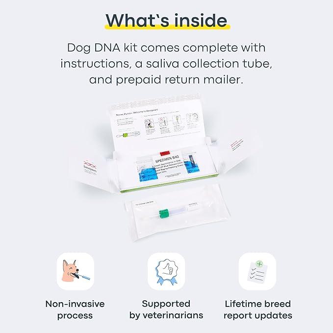 Dog DNA Test