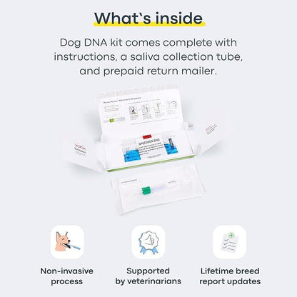 Dog DNA Test