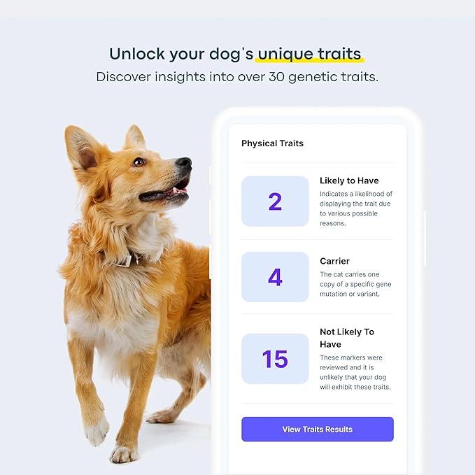 Dog DNA Test