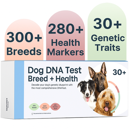 Dog DNA Test